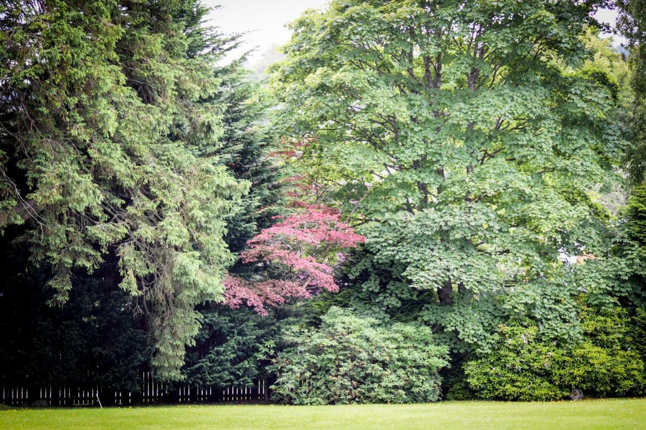 Benoch Lomond Castle Apartment Alexandria Luaran gambar